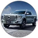 FOR GREAT WALL POER